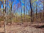 Plot For Sale In Pittsville, Virginia