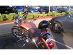 2008 sportster custom 1200cc