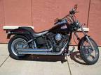 2005 Harley-Davidson FXSTB/FXSTBI Softail Night Train