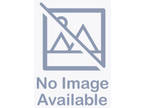 Adopt A5617136 a Australian Cattle Dog / Blue Heeler