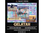 Gelatah~Ranch/Trail/Mounted Shooting/Family Friendly~Spotted Saddle Mare
