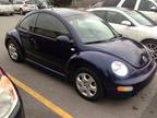 2002 Volkswagen Beetle Bug