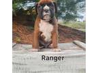 Ranger