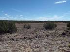 Concho, DEAL for an acre of land in Arizona.