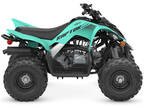 2024 Yamaha Raptor 110