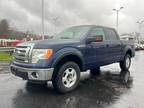 Used 2012 Ford F-150 for sale.