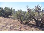 Plot For Sale In Snowflake, Arizona