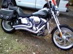 2007 harley softail custom-18,500 mi.-excellent