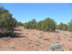 Plot For Sale In Snowflake, Arizona