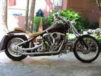 1988 Harley Davidson FXSTC Softail One-Of-A-Kind