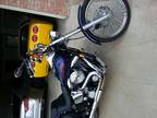 1999 Harley Davidson softtail custom