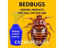 bedbug control in London Ontario