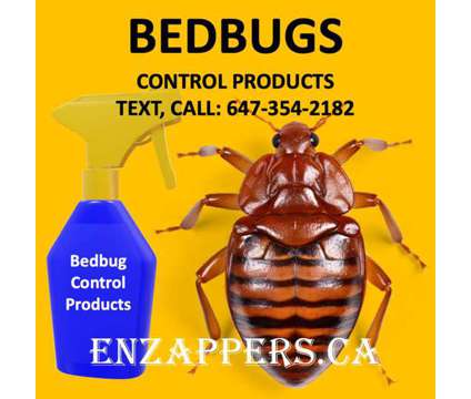 bedbug control in London Ontario is a Other Home Services service in London ON