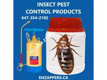 Cockroaches Control London Ontario