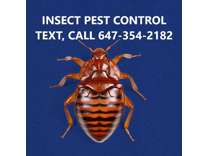 bedbugs control in London Ontario