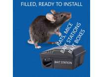 rodents, rats, mice bait stations, London Ontario, Canada