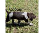 Cooper