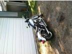 2004 Harley Davidson Dyna Superglide FXDI