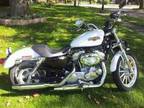2008 Harley Davidson 883 Sportster in Youngstown, OH