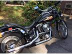 1998 Harley Custom Soft Tail