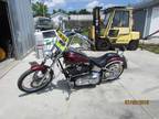 2002 Custom Built Softtail