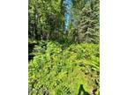 Plot For Sale In Trapper Creek, Alaska