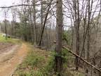 Plot For Sale In Cosby, Tennessee