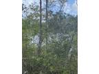 Plot For Sale In Palm Coast, Florida