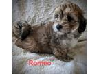 Romeo