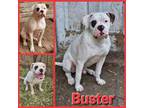 Buster