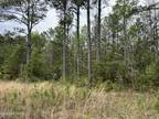 Plot For Sale In Riegelwood, North Carolina