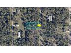 Plot For Sale In Alva, Florida