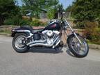 2004 Harley Davidson Softail Standard