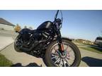 2013 Harley Davidson XL883N Iron in Walton, NE