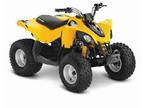 2014 Can-Am DS 70