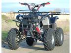 250cc Utility Quad - 100% New - Green Sticker