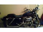 Harley Davidson 2007 Sportster Low