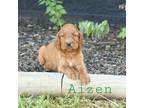 AKC Aizen