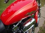2008 Harley 1200 Low