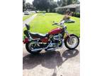 2006 Harley Davidson Sportster 1200 Low