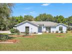 309 W Frederick Ave, Dundee, FL 33838