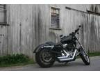 2004 Harley-Davidson XL883 Sportster