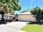 6917 Silvermill Dr, Tampa, FL 33635