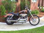 $6,950 OBO 105th Anniversary Edition Harley Davidson XL1200C Sportster