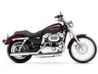 2005 Harley-Davidson Sportster XL 1200 Custom