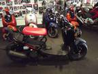 2014 Honda Ruckus (NPS50)