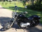 2009 Harley Davidson Street Bob