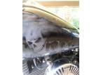 2006 custom painted screaming eagle harley -