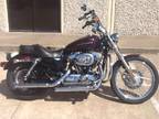 2007 Harley-Davidson Sportster 1200 Custom