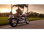 Harley 2002 Fatboy FLSTFI - Custom Everything & Paint - UNDER 5K MILES